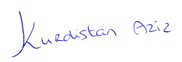handtekening Kurdistan 800